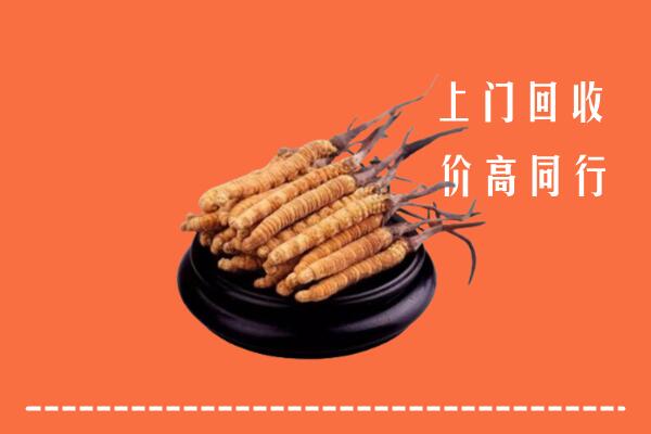 七台河桃山区高价冬虫夏草回收多少钱每克