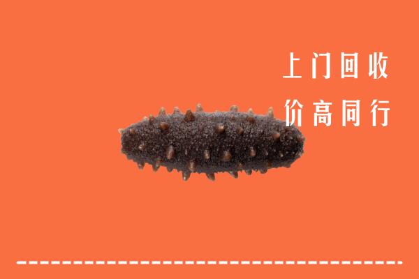收购行情：七台河桃山区回收海参