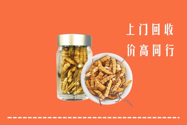 高价求购：七台河桃山区回收冬虫夏草